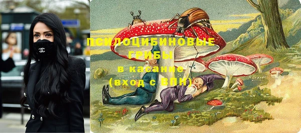 PSILOCYBIN Балабаново