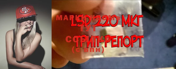 PSILOCYBIN Балабаново