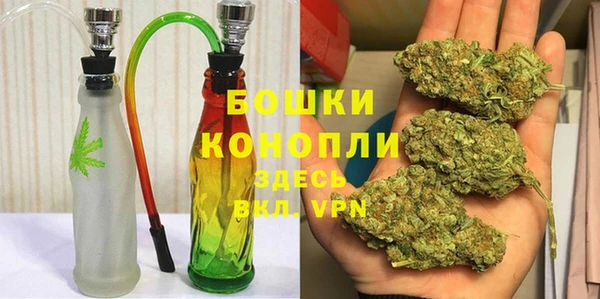 PSILOCYBIN Балабаново