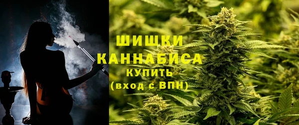 PSILOCYBIN Балабаново
